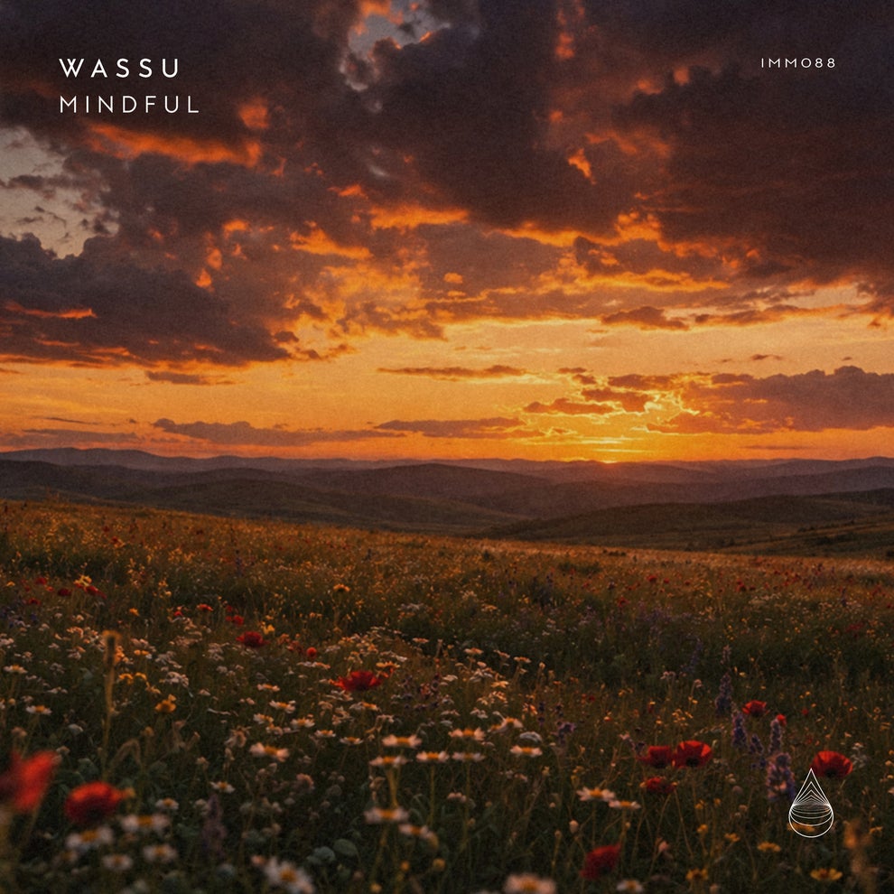 Wassu - Mindful