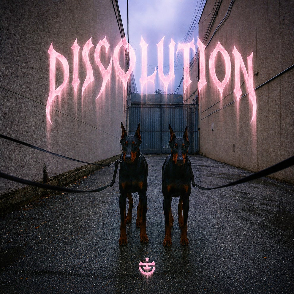 Samuel Wallen Mike Gannu - Discolution (Coeus Remix)