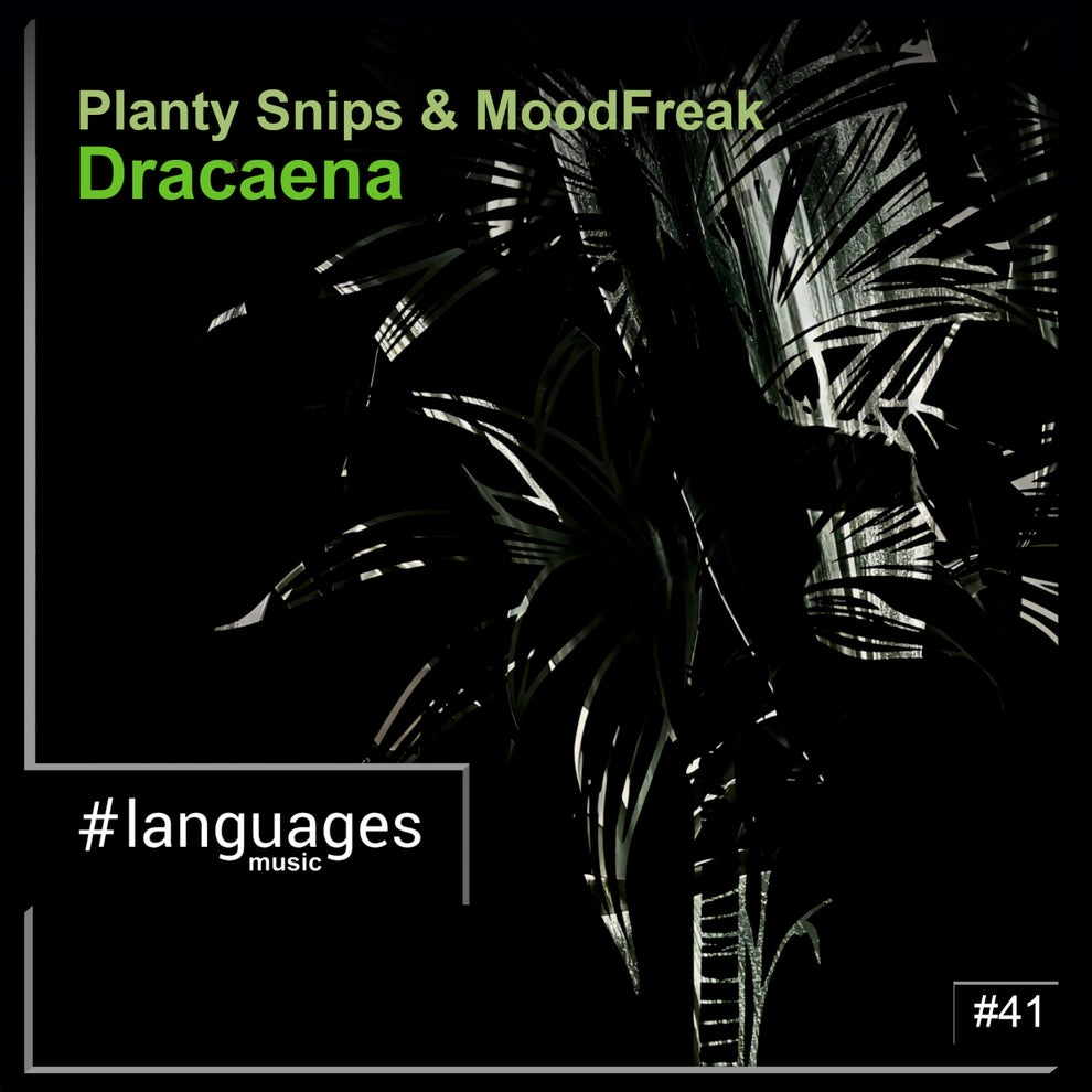 Planty Snips & Moodfreak - Dracaena